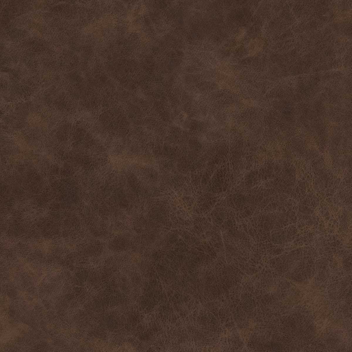 Yellowstone Mocha