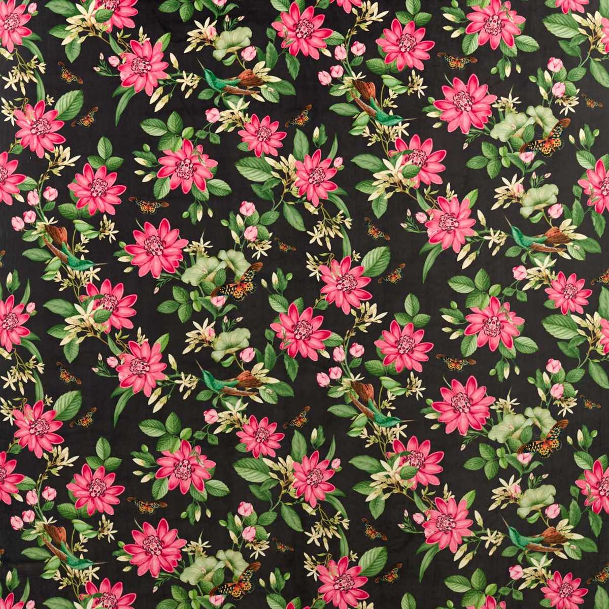 Pink Lotus Velvet F1588-02
