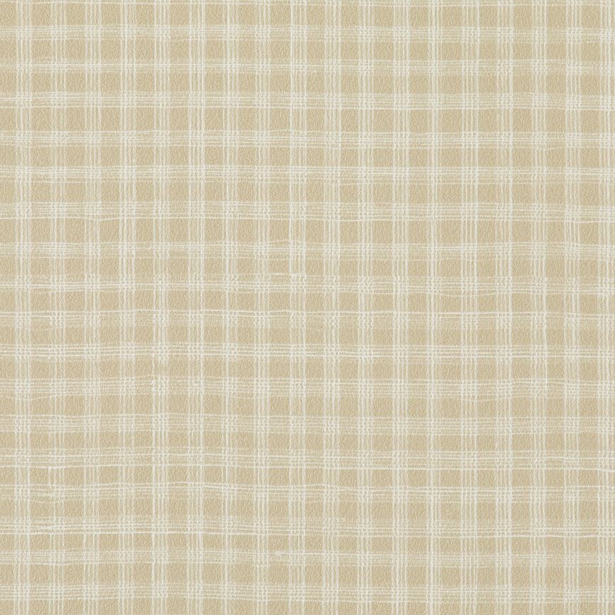 Inscribe W5042-01