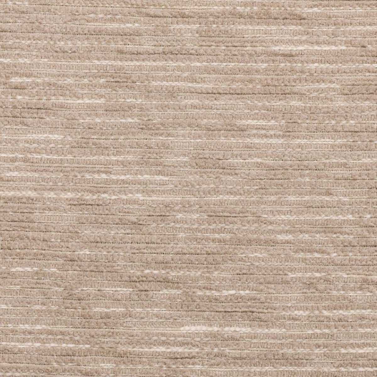 Stria T2043-02