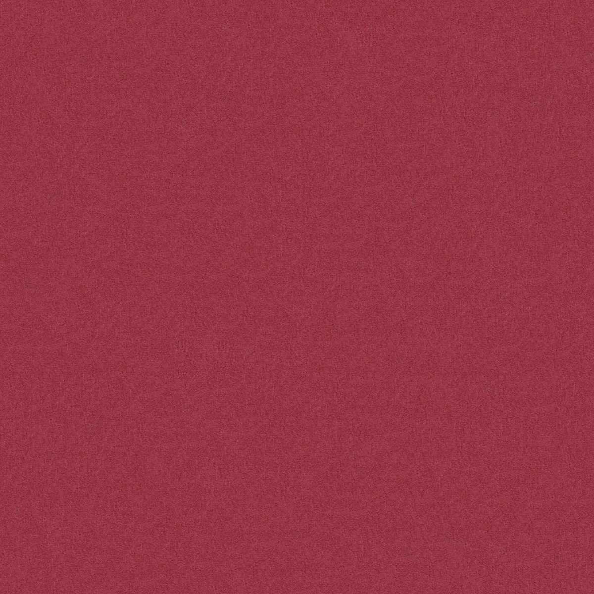 Amur 37 Shiraz