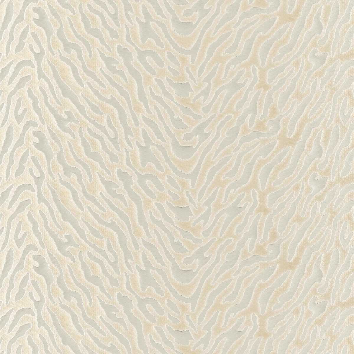 Avilla 04 Frost