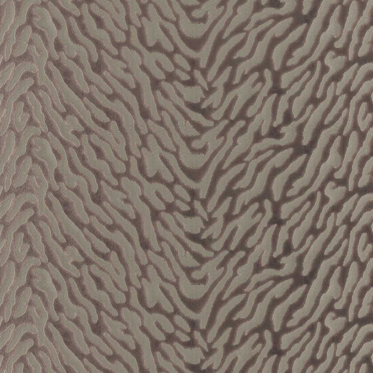 Avilla 08 Praline