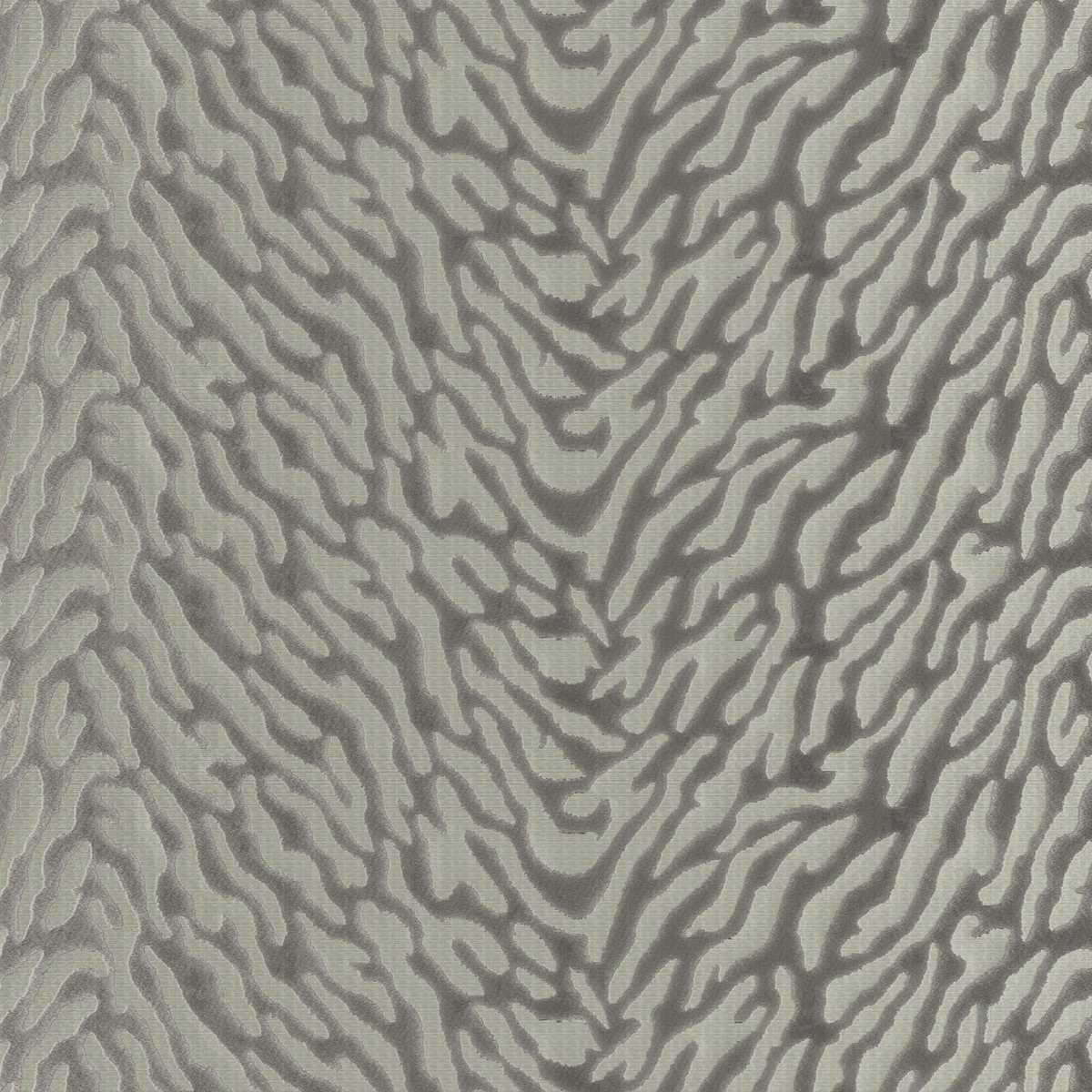 Avilla 12 Feather