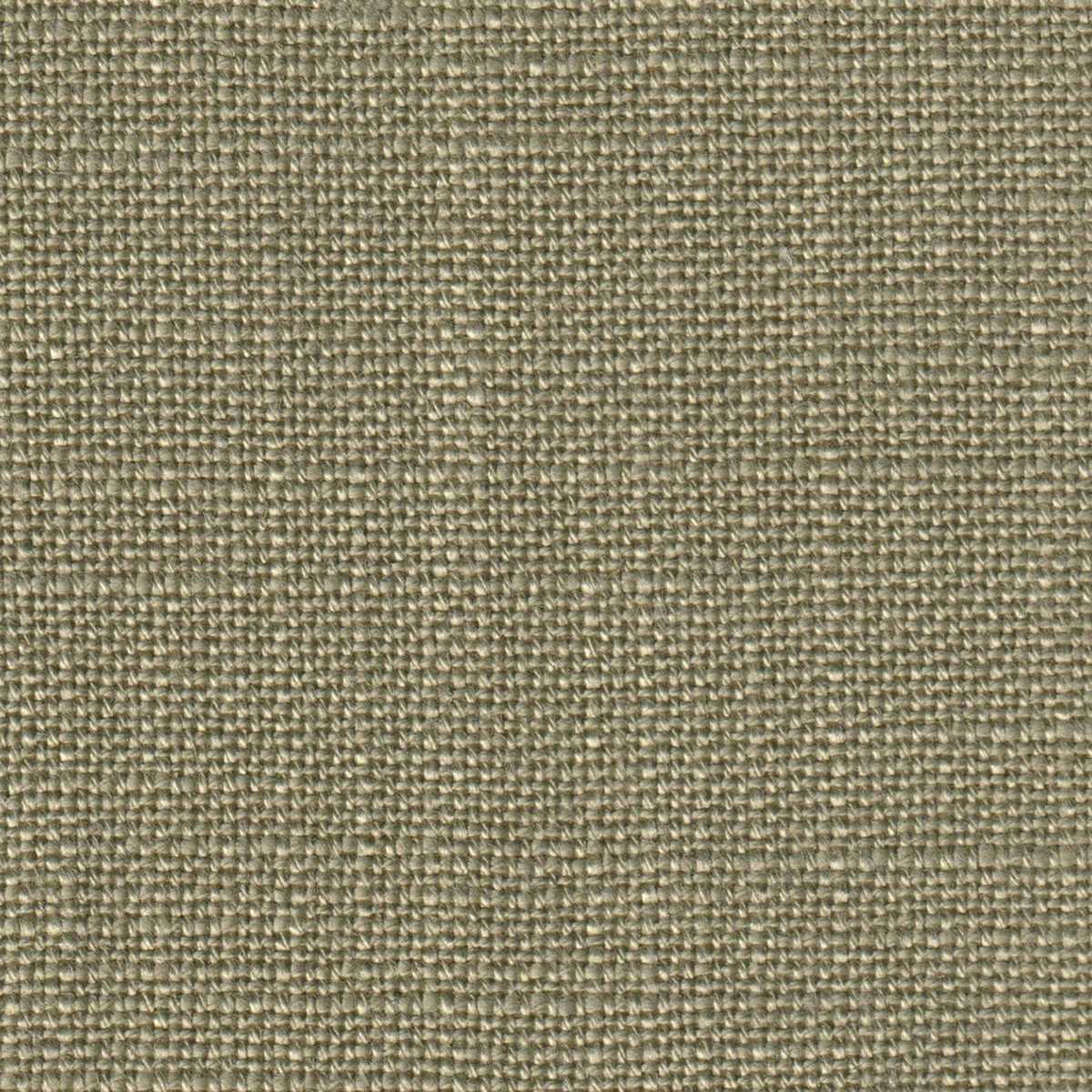 Conon 09 Brown Sugar