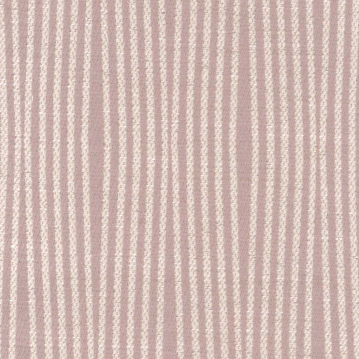 Element 07 Rose