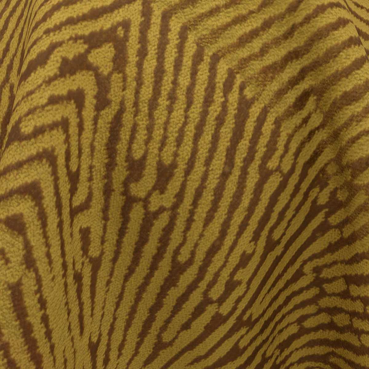 Fassa 27 Brass
