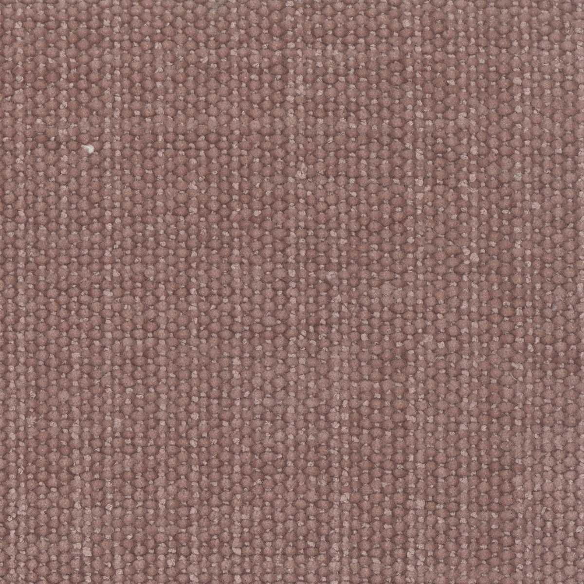 Primrose 10 Rosewood