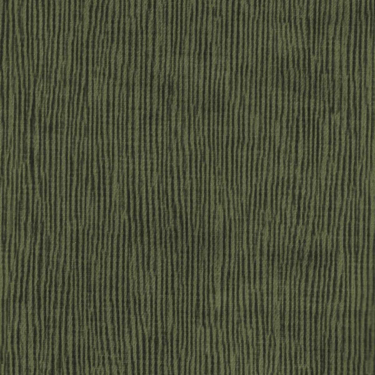 Solara 19 Pesto