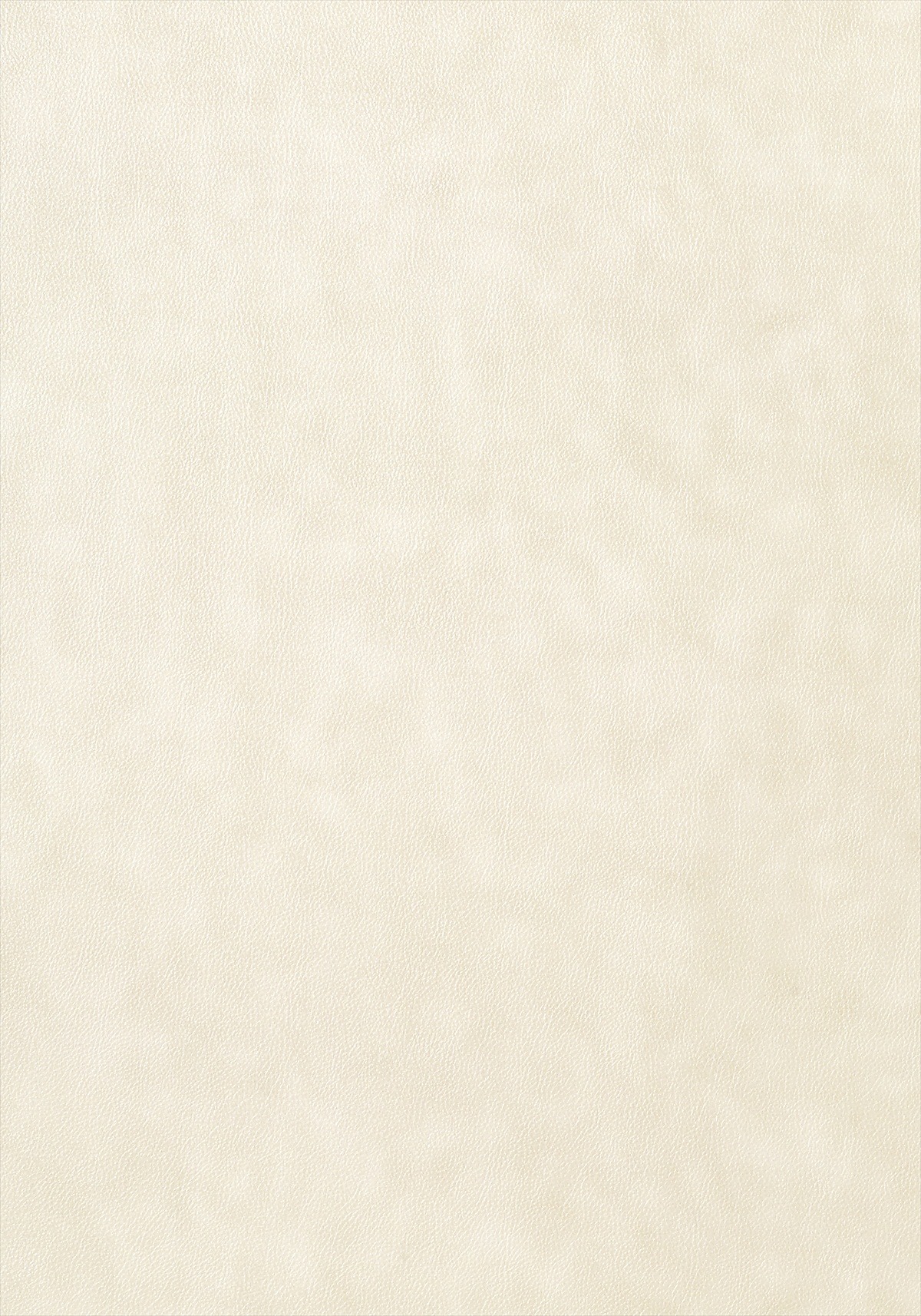 Western Leather 839-T-T57158