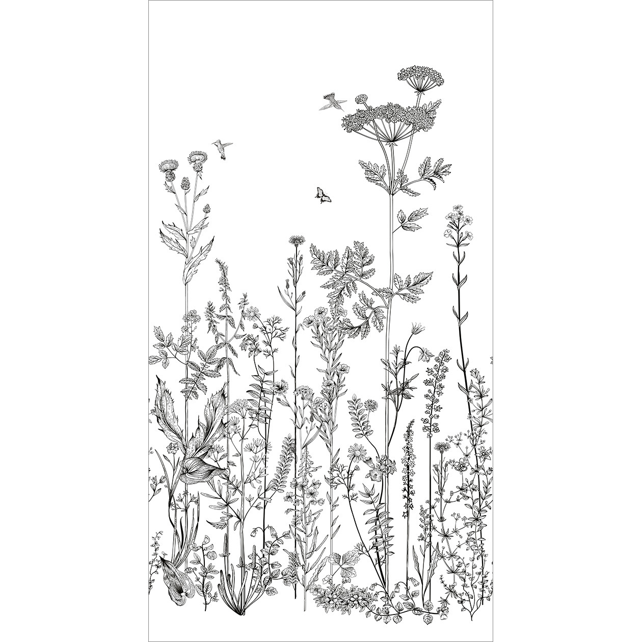 Wild Flowers 10131 91 04