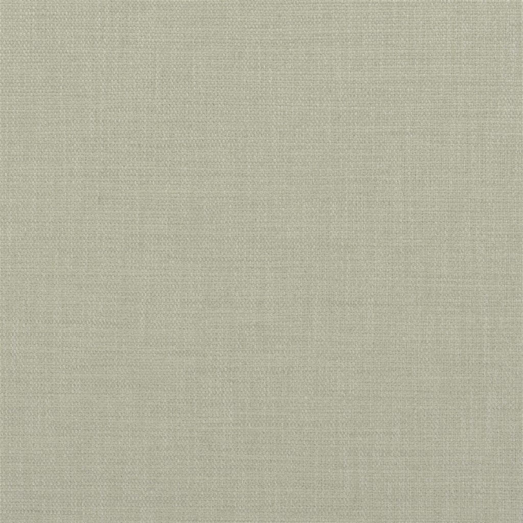Laia FWY8071-01