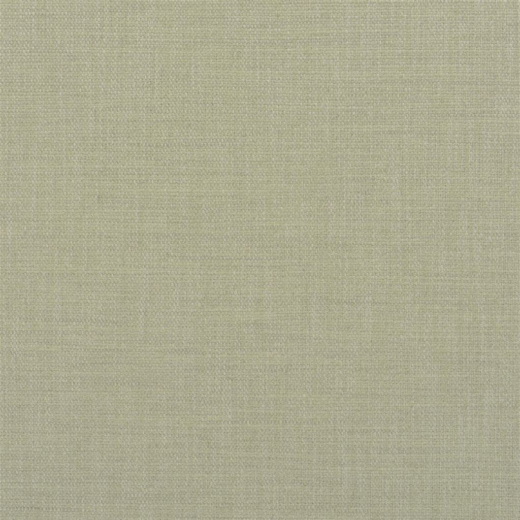 Laia FWY8071-02