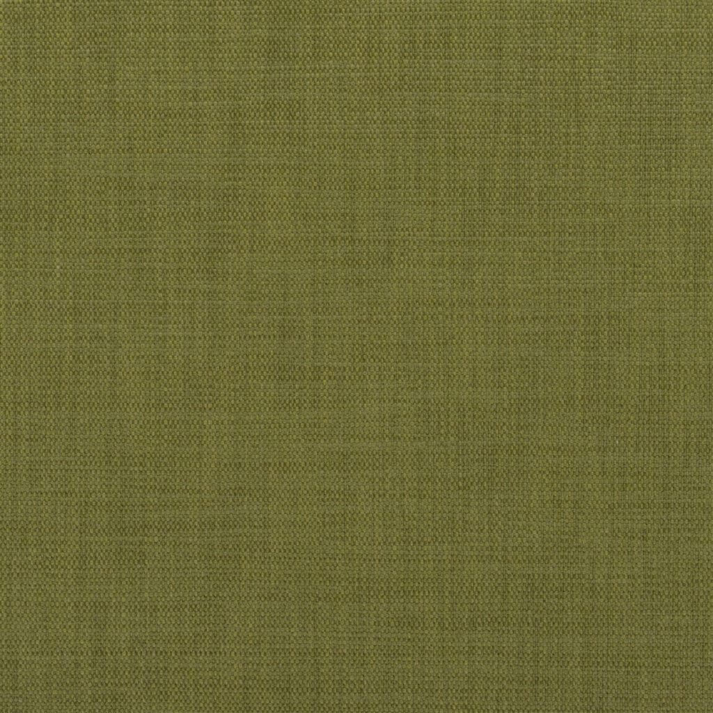 Laia FWY8071-06
