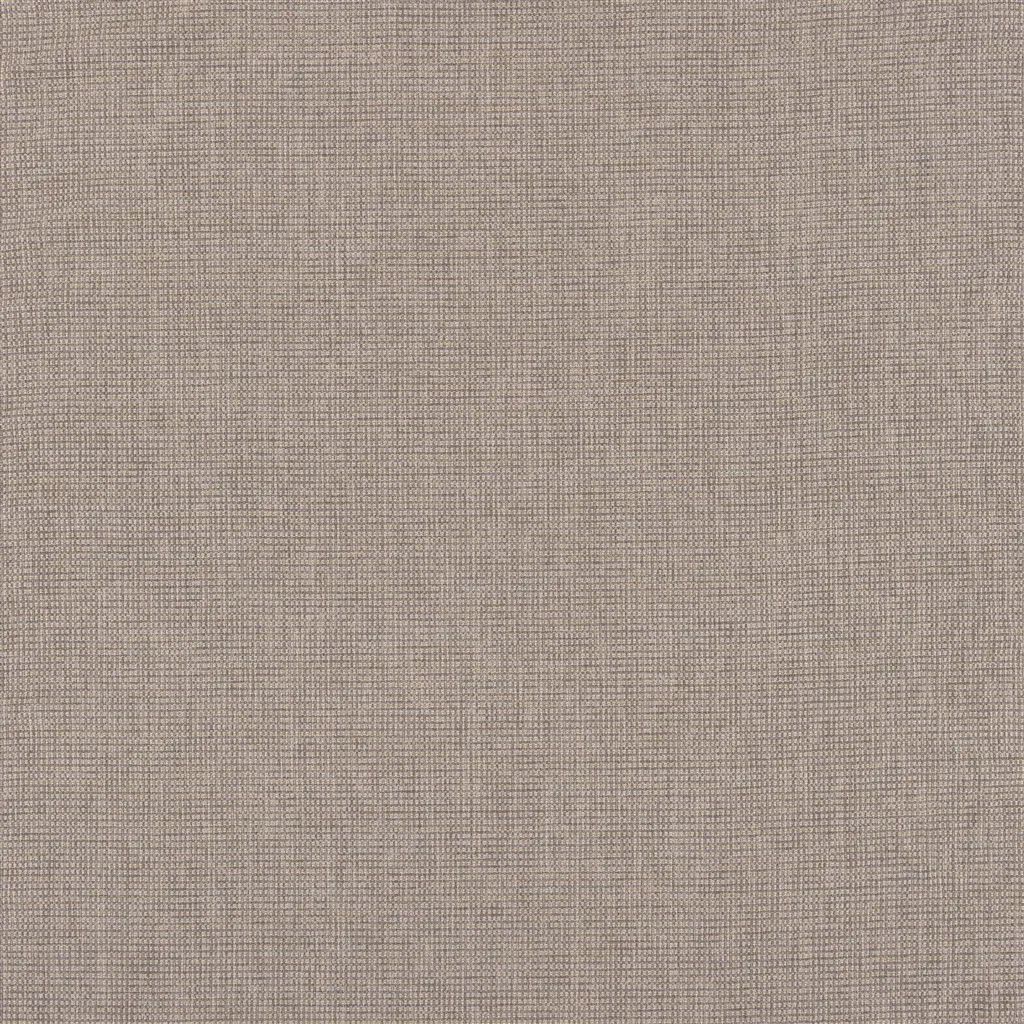 Lanata FWY8104-02