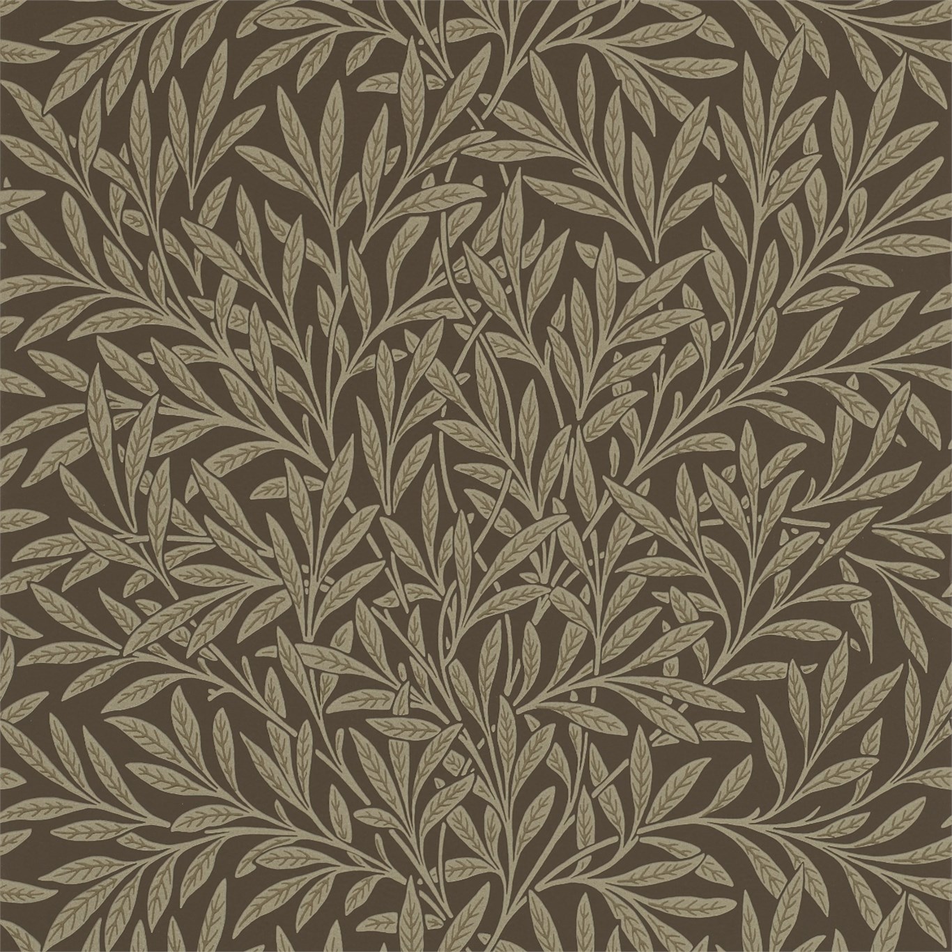 Willow 210380