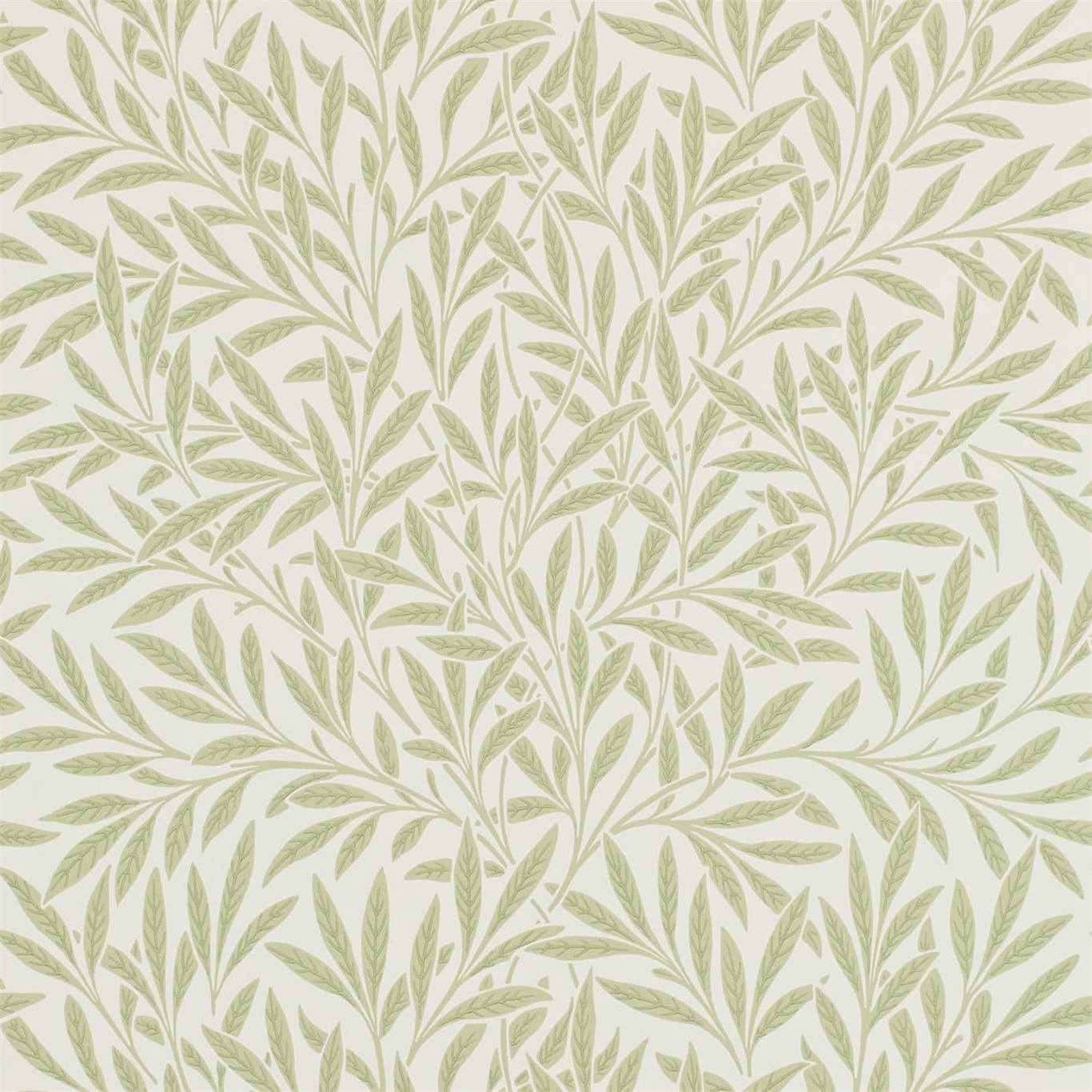 Willow 216835