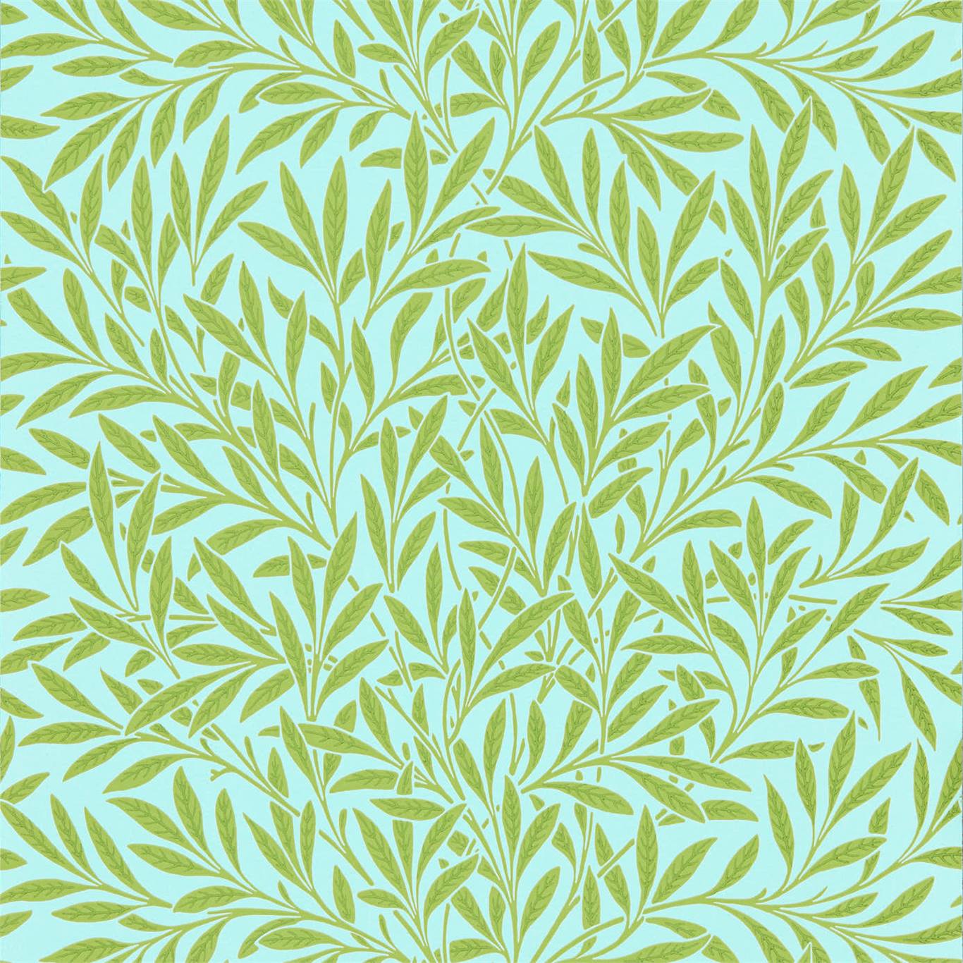Willow 216964