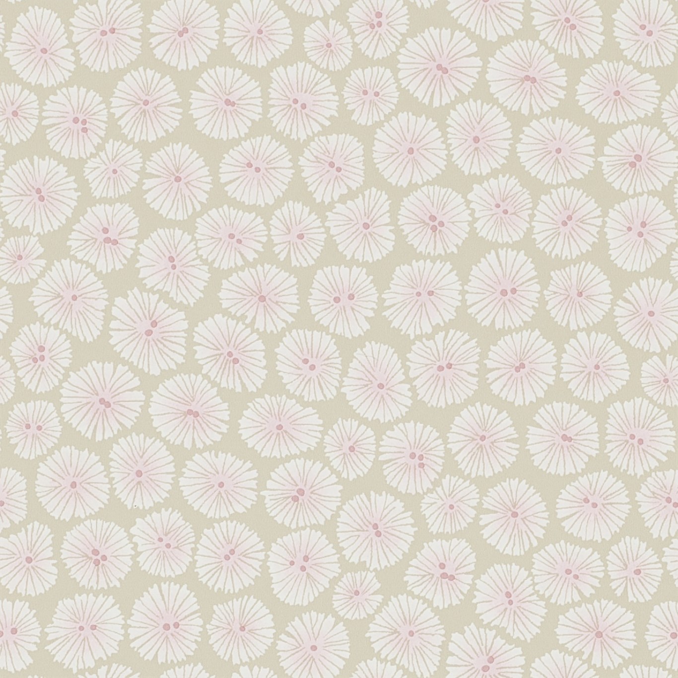Wind Flowers DCHK213709