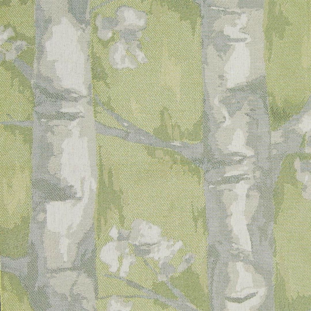 Windermere Coriander