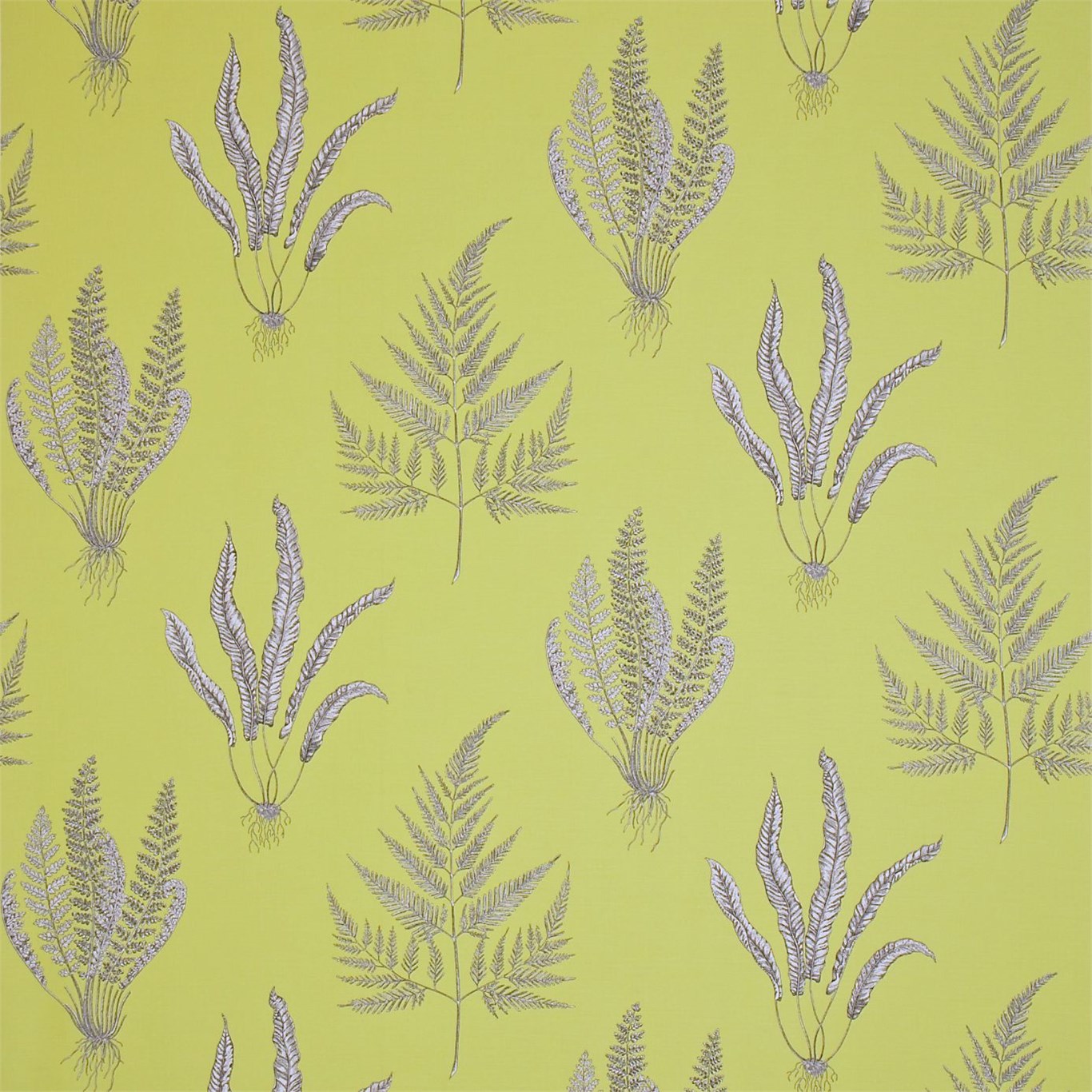 Woodland Ferns DAPGWO201