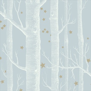 Woods and Stars 103-11051