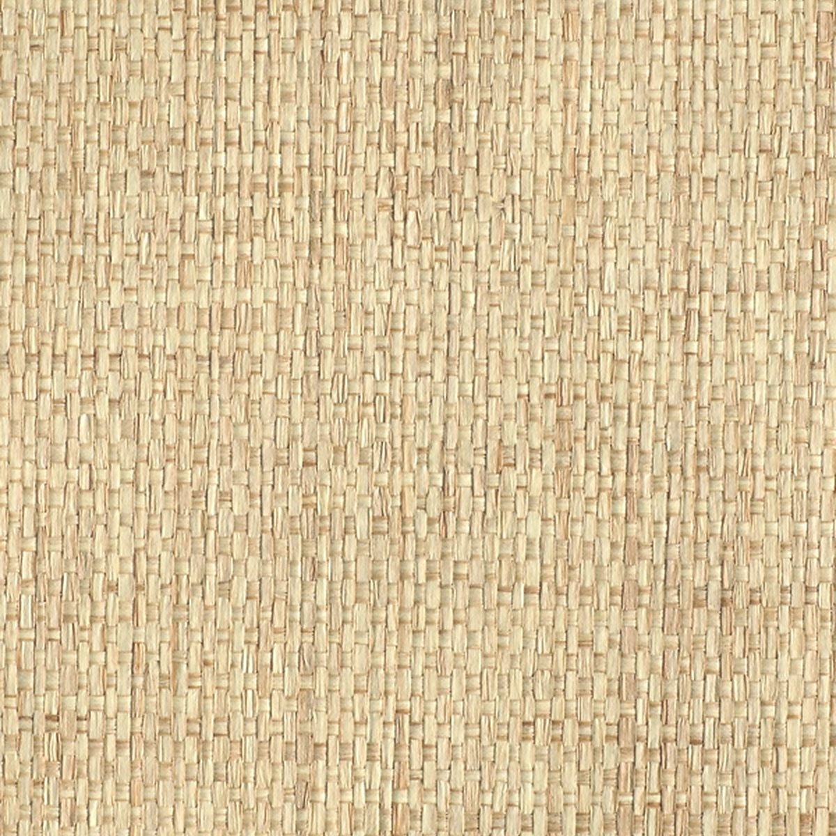 Woven Rattan Palm 1851