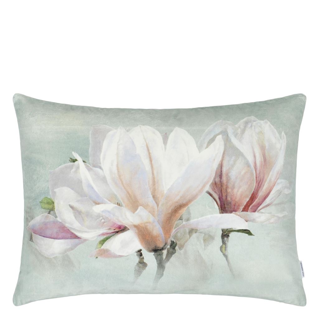 Yulan Magnolia CCDG0980