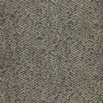 Zigrino 05 Bronze