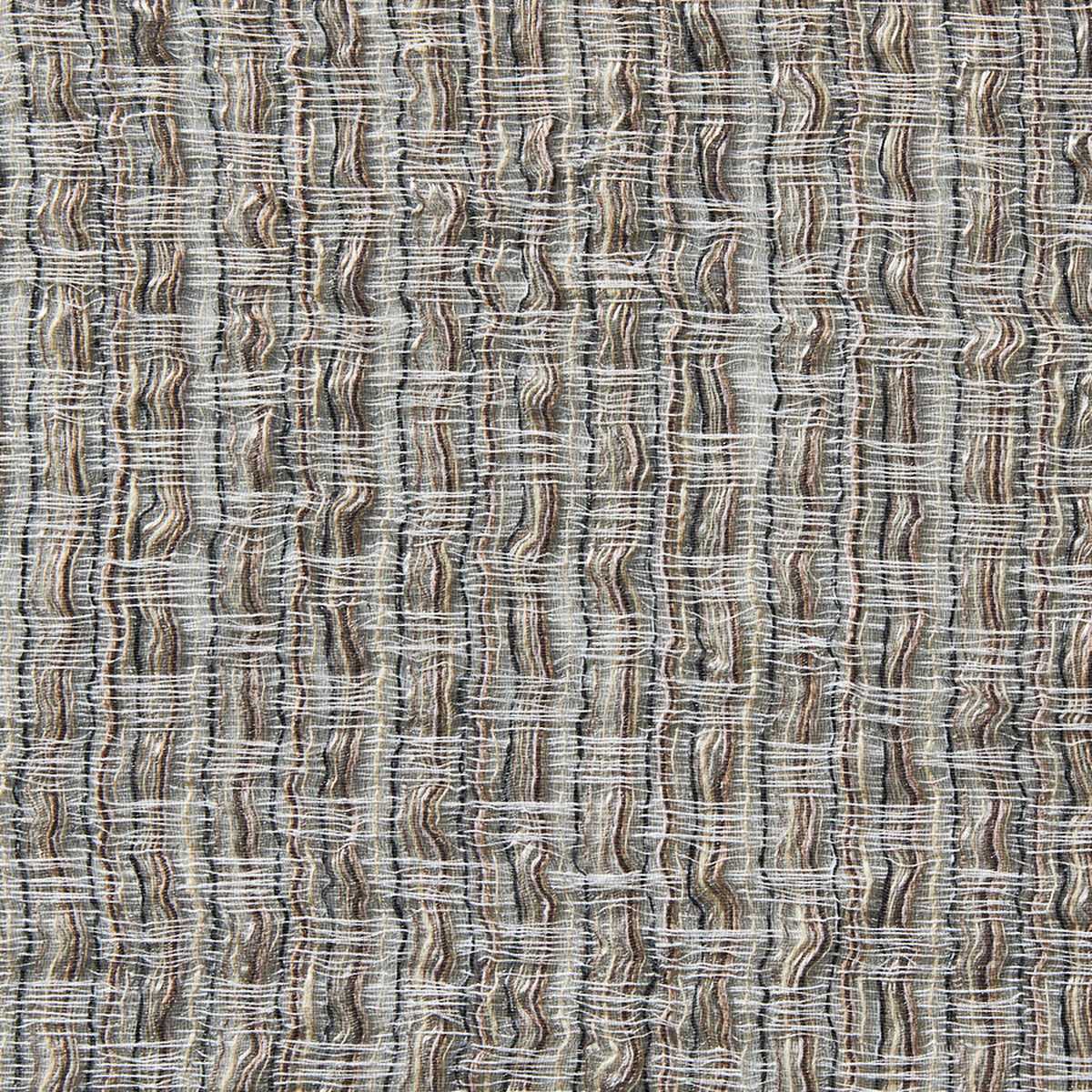 Agave 10862895