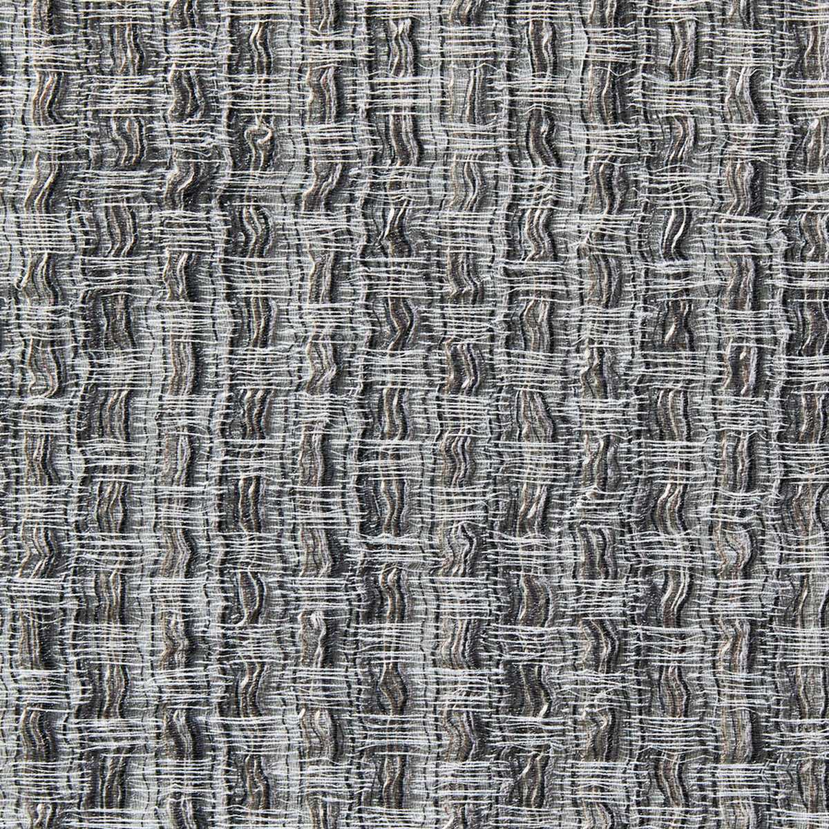 Agave 10862995
