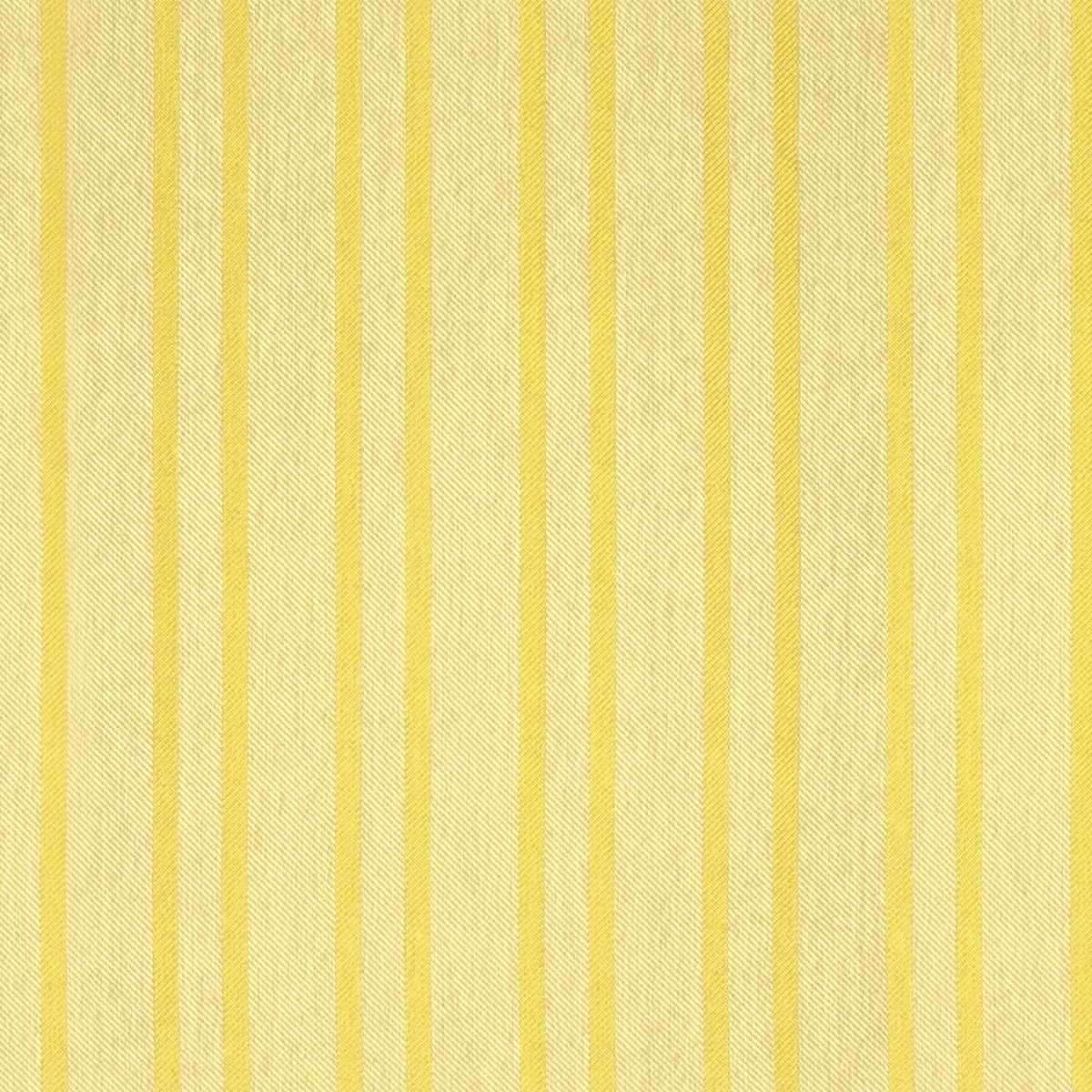 Caribbean Stripe 10449784
