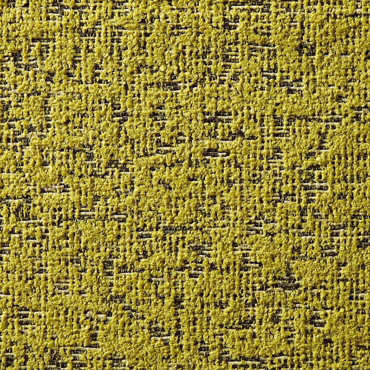 Gobi 10792714