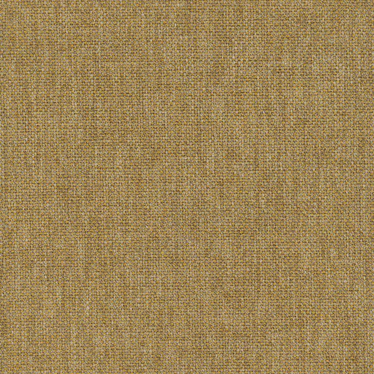 Soft Loft 10959184
