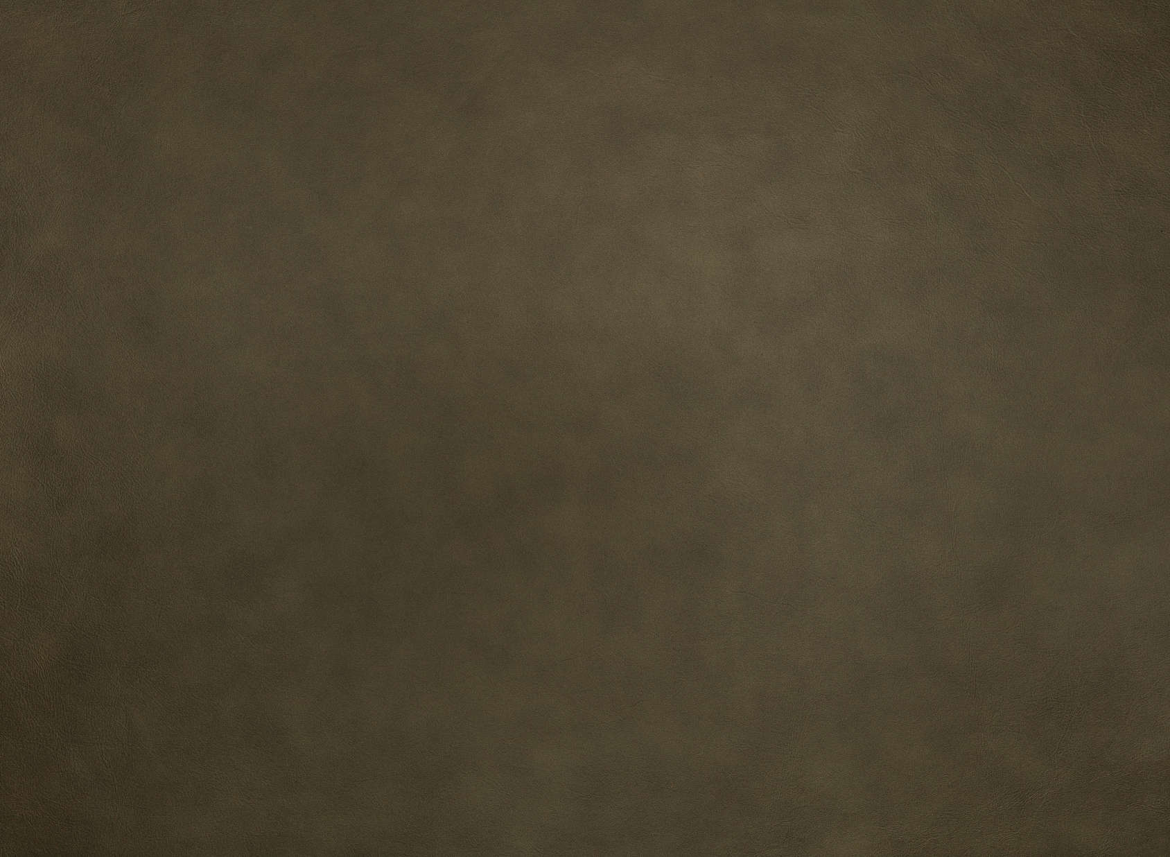Axel Leather ZL103-02