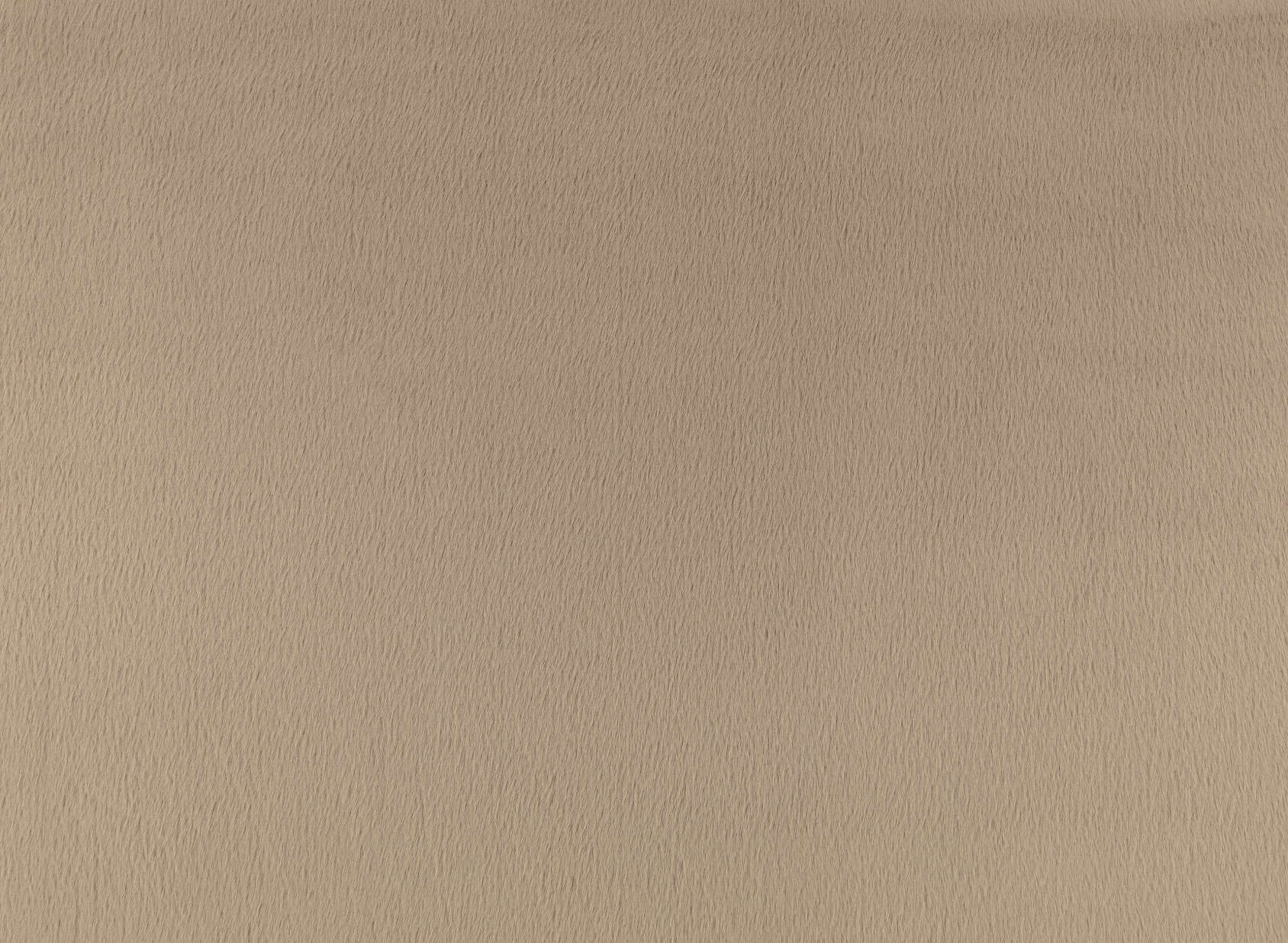 Benjamin Z701-04