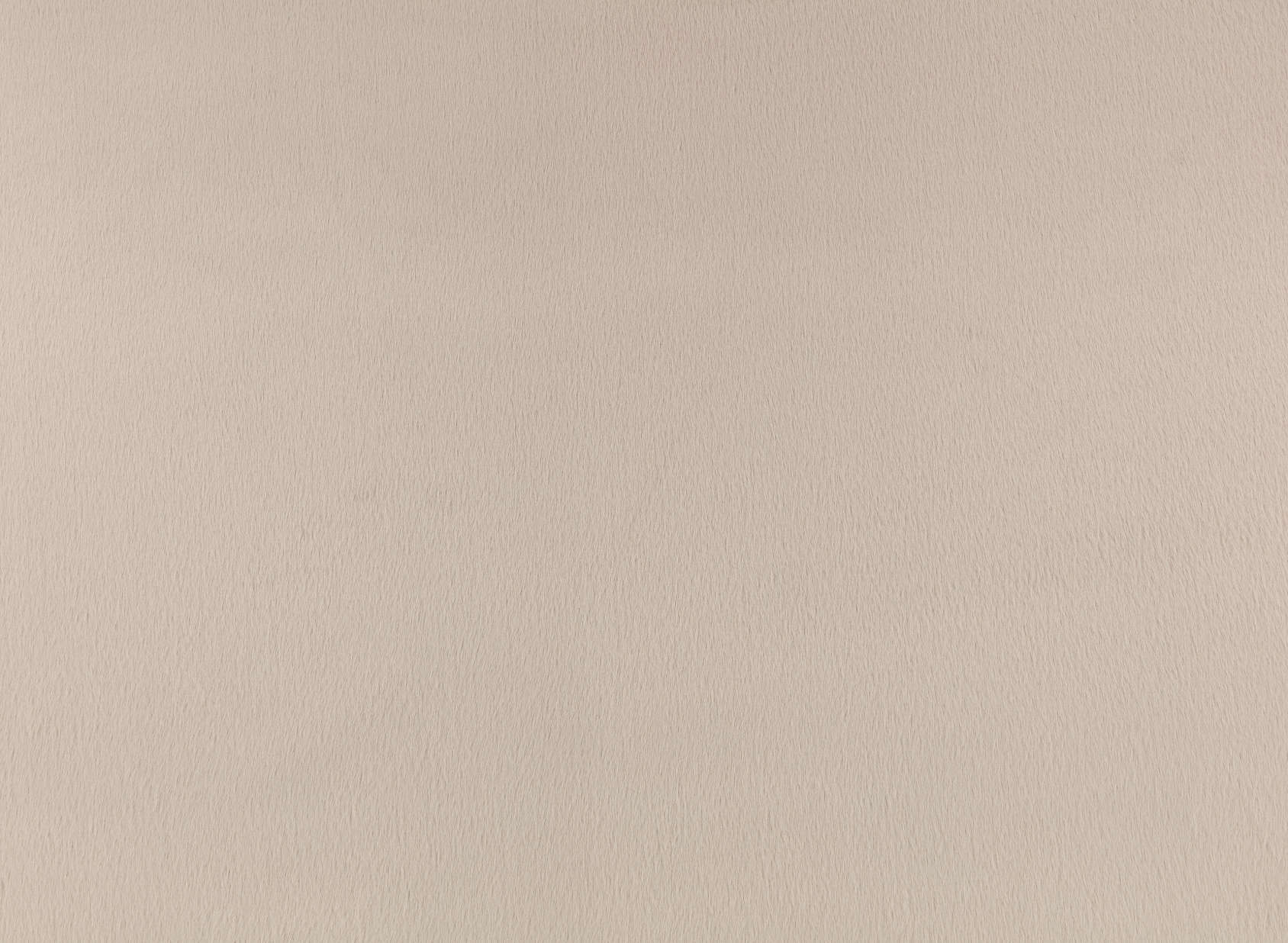 Benjamin Z701-06