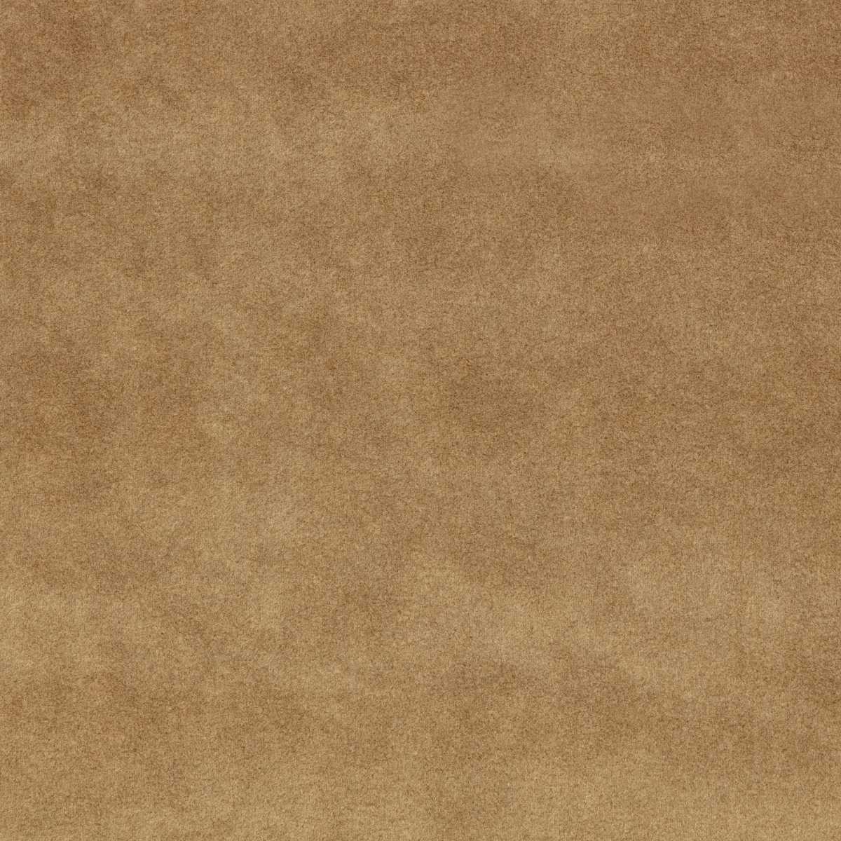 Chapinero FR Camel