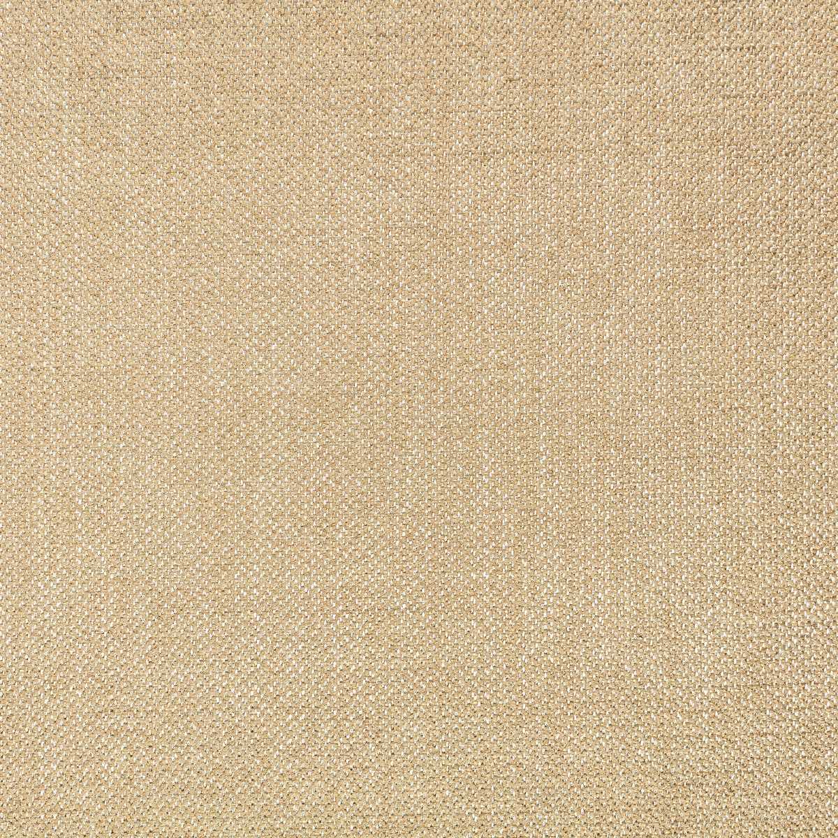 Clarendon Gold Sand