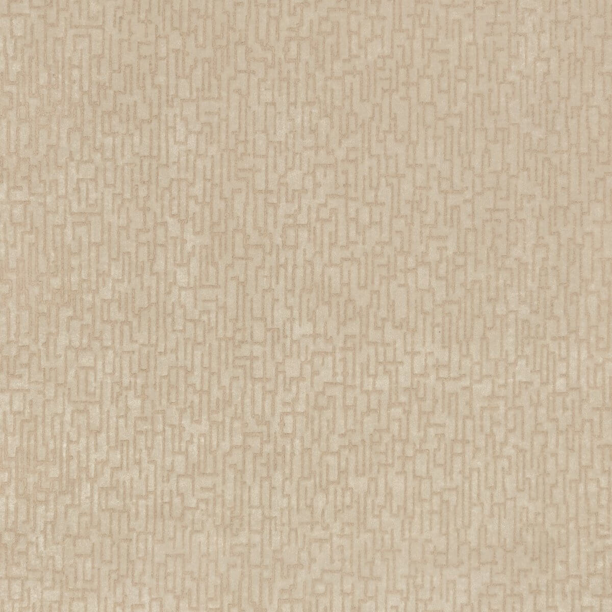 Cookie Z764-02