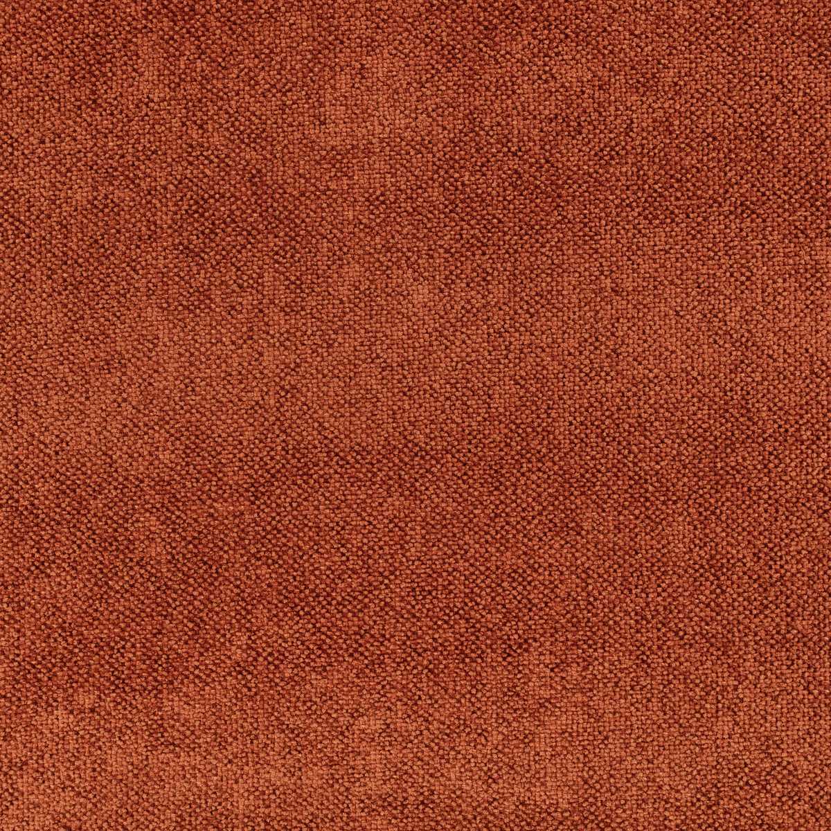 Draughts Spice