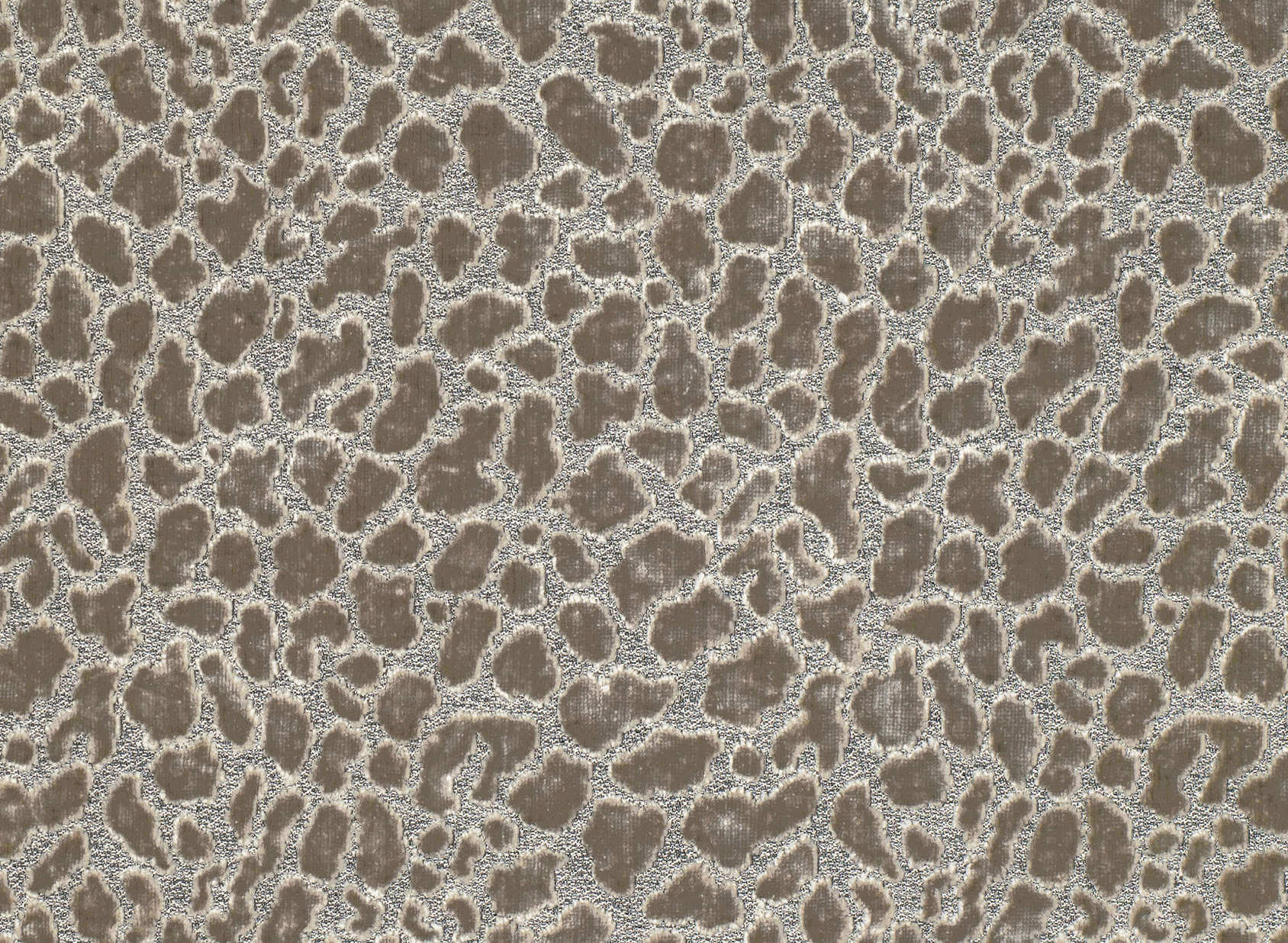 Ocelot Spacedust Z516-02