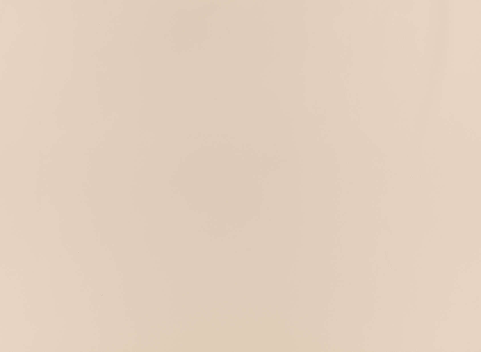 Stevie Leather ZL101-01