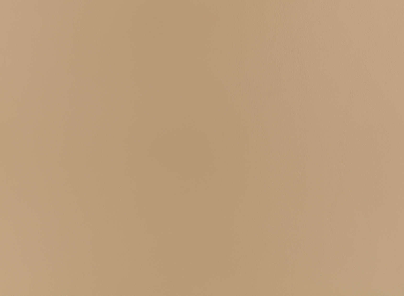 Stevie Leather ZL101-02