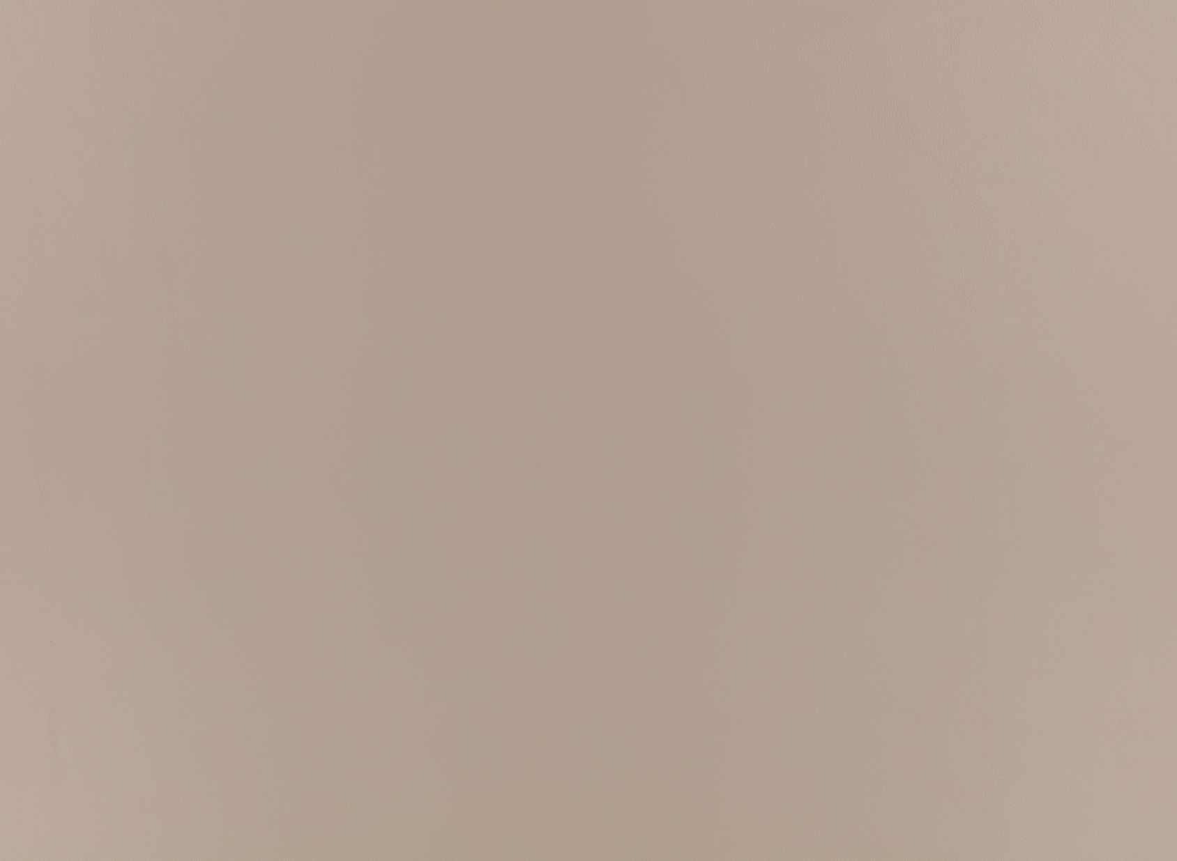 Stevie Leather ZL101-03
