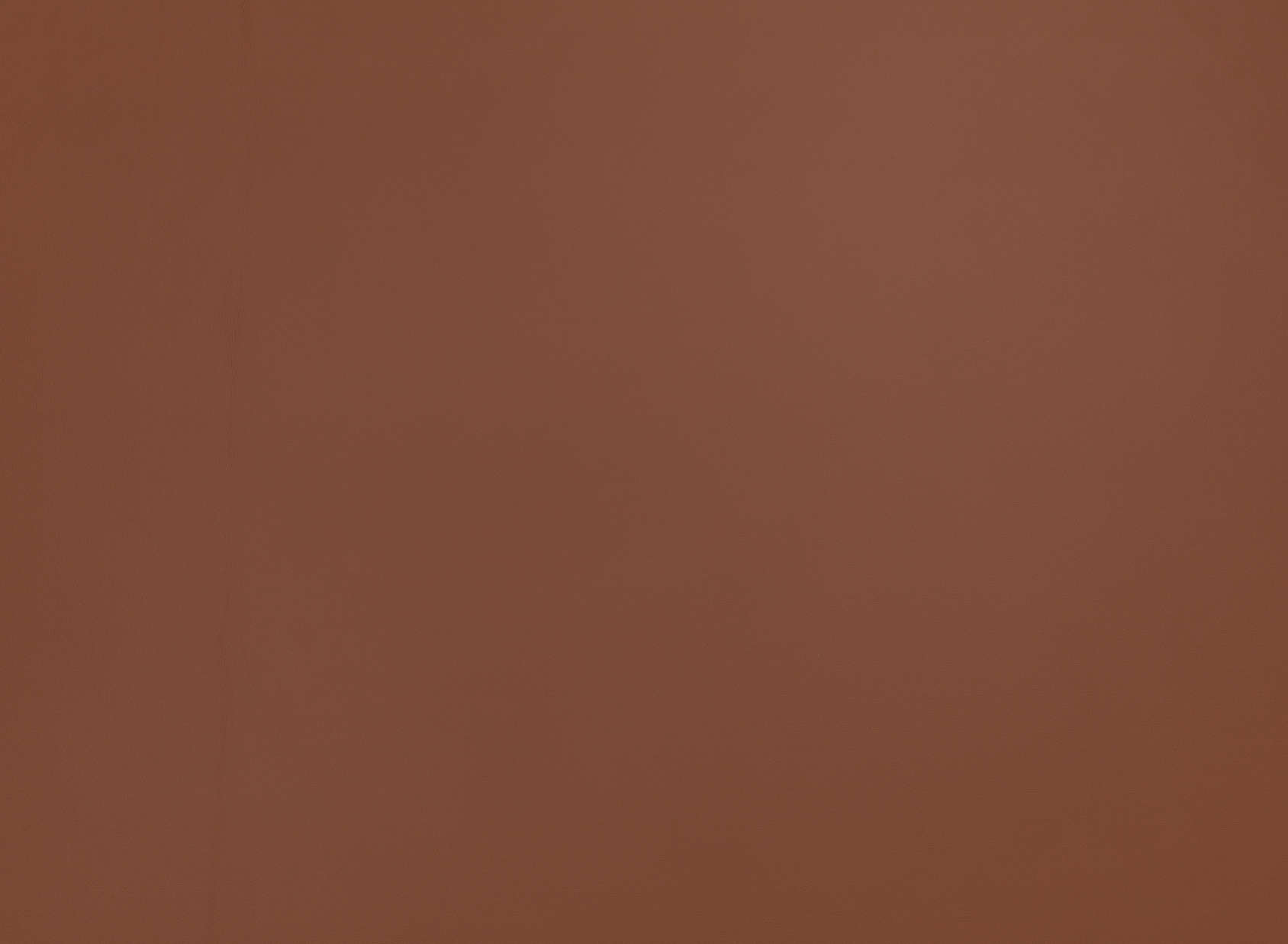 Stevie Leather ZL101-08