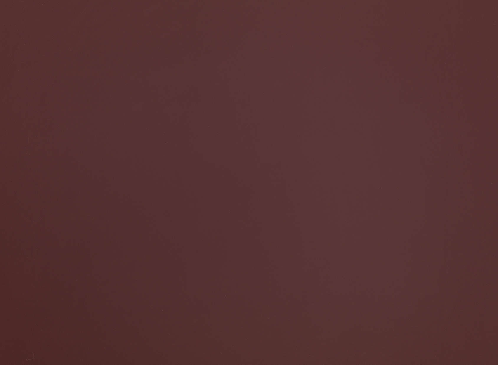 Stevie Leather ZL101-09