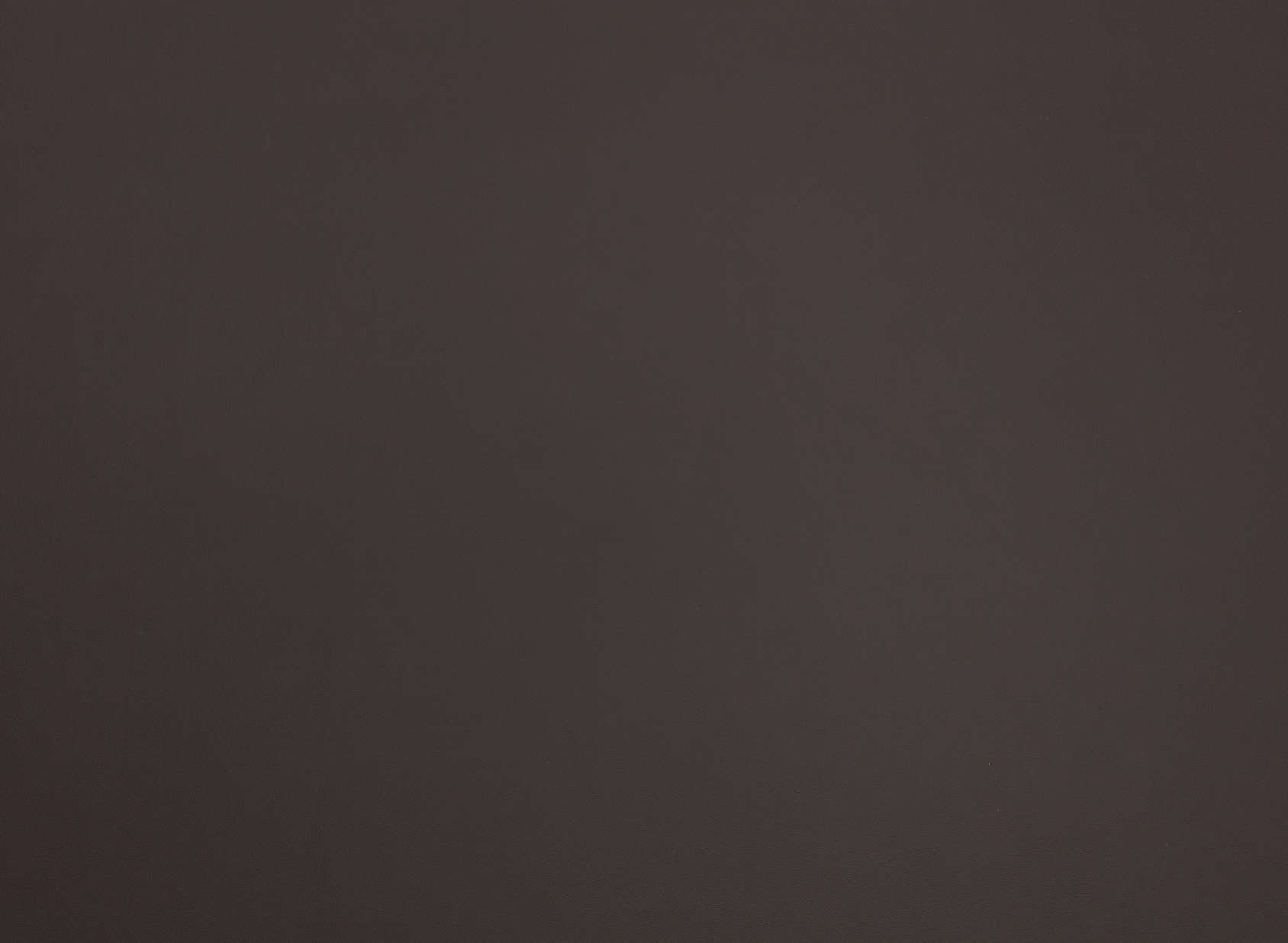 Stevie Leather ZL101-10