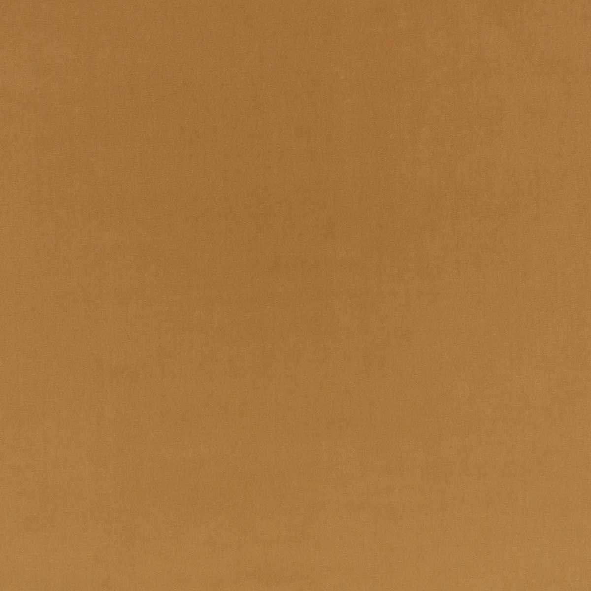 Turo Camel