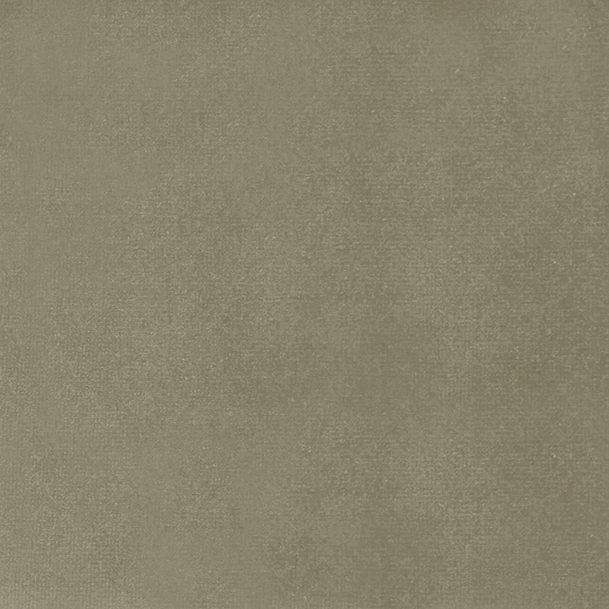 Zircon Wheat